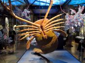 narodni muzeum praag 7-2023 8968
